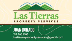 Business Cards